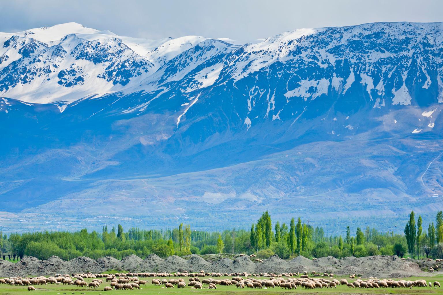 Erzincan