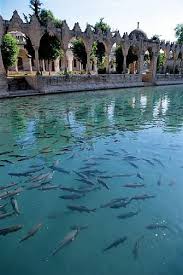 Şanlıurfa