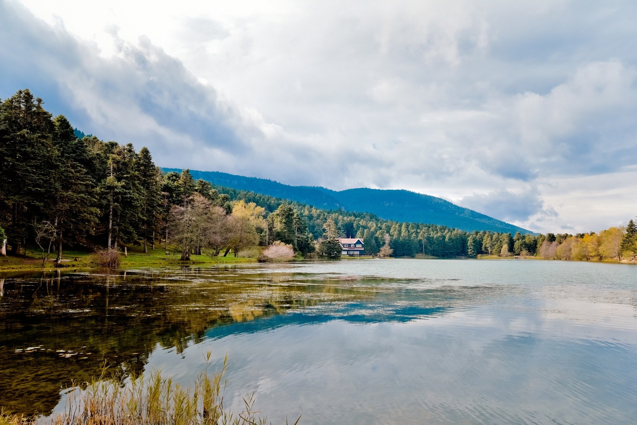 Bolu
